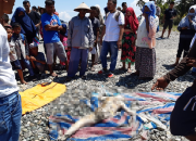 Warga Temukan Mayat Mengapung di Perairan Teluk Palu