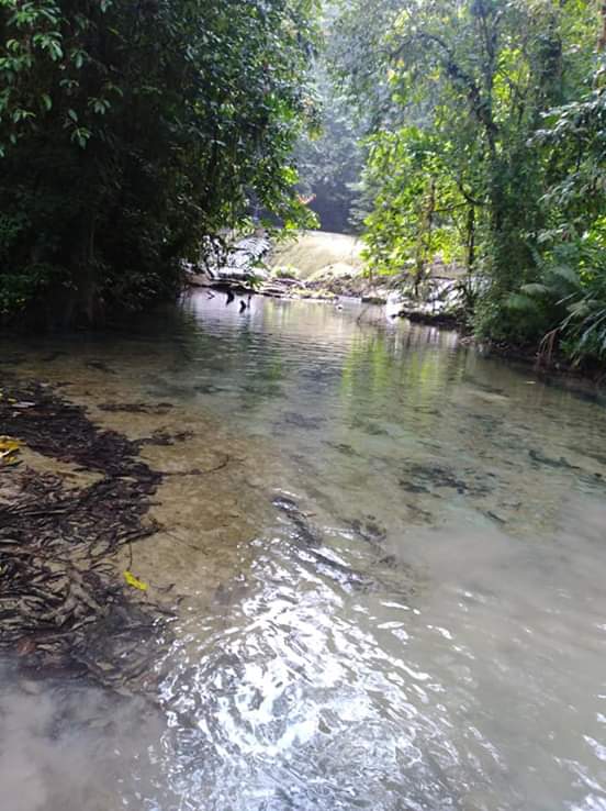 Jadikan Hutan Lindung Sebagai Kawasan Konservasi Wisata, Kades Sakita ...