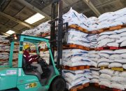 4.109 Ton Stok Pupuk Urea Subsidi Siap untuk Sulawesi Tengah