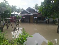 Banjir Rendam Belasan Rumah dan 15 KK Mengungsi di Desa Sambo, Sigi