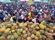 Sulteng Berkomitmen menjadi daerah penyuplai durian untuk Ibu Kota Negara Kalimantan Timur