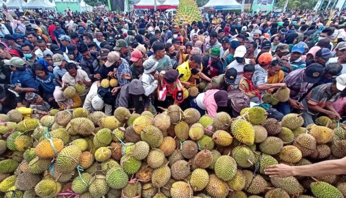 Sulteng Berkomitmen menjadi daerah penyuplai durian untuk Ibu Kota Negara Kalimantan Timur