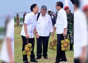 Presiden Joko Widodo Tenteng Oleh-Oleh Durian dari Banggai Kepulauan